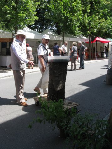 img_4896.jpg