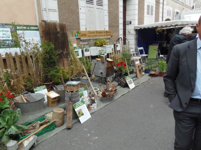 p6200031.jpg