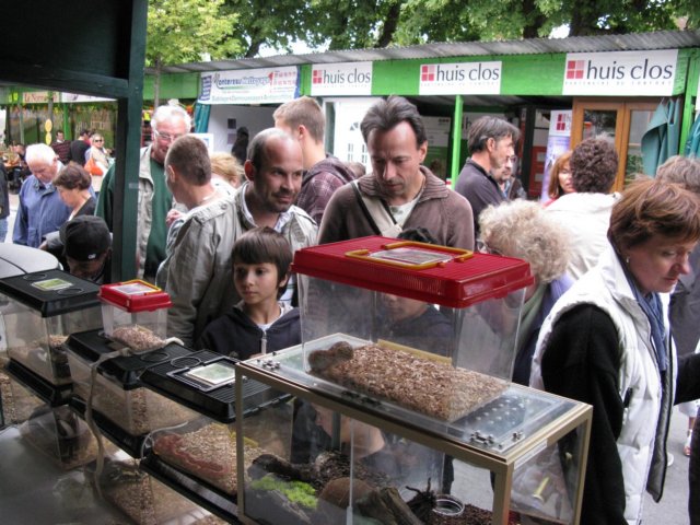 dimbarri006.jpg