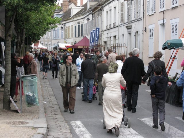 dimbarri015.jpg