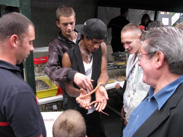 dimbarri025.jpg