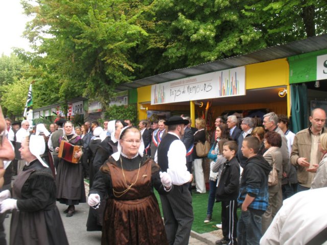 dimbarri036.jpg