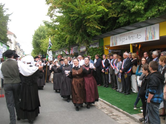 dimbarri040.jpg