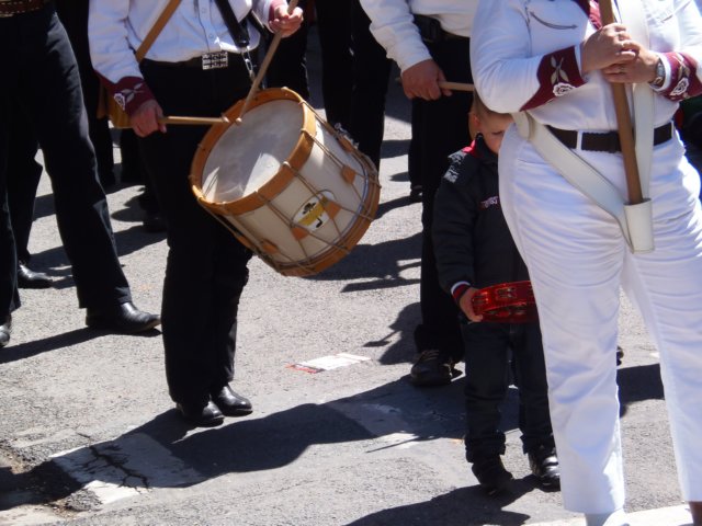 p6230270.jpg
