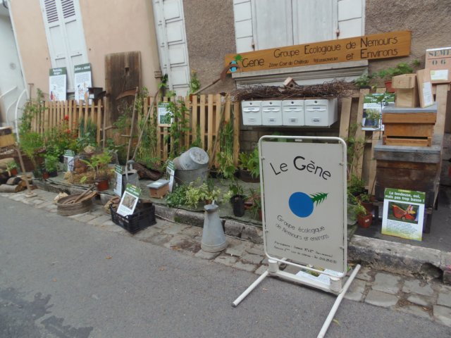 p6220155.jpg